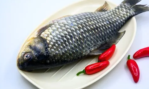 野生鲫鱼在家里怎么养？