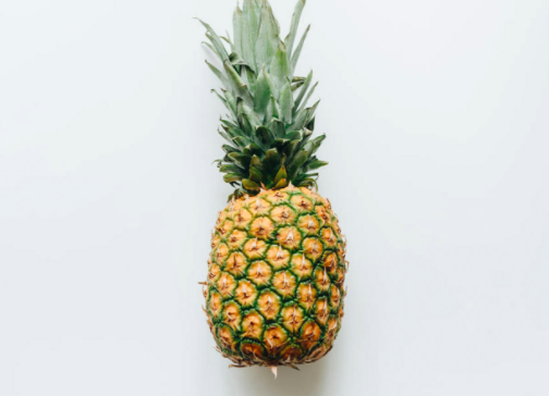 种植菠萝的成本和利润如何？