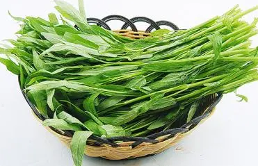 空心菜种植前景如何？