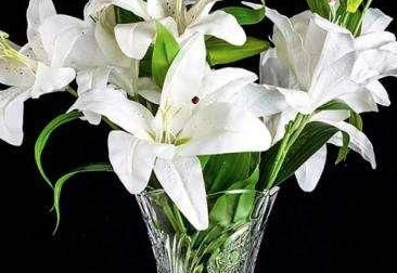 百合花插花瓶要不要去芯？