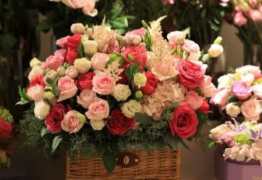 花语是家庭幸福美满的花有什么？