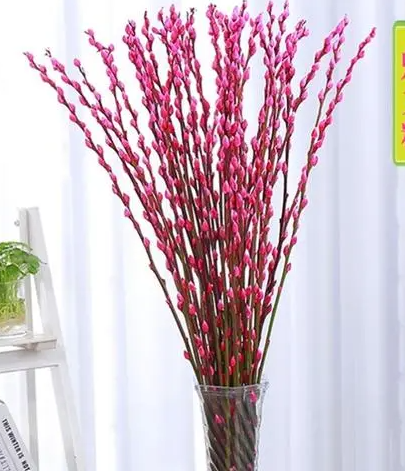 家里放银柳干花好不好？