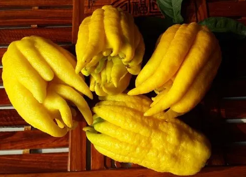 佛手瓜吃不完怎么保存？