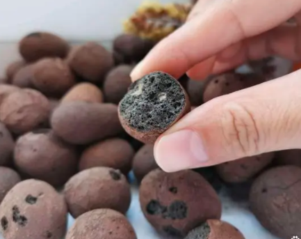 陶粒可以用来种菜吗？