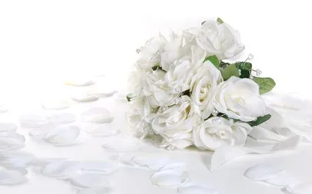 白色的花都有哪几种？