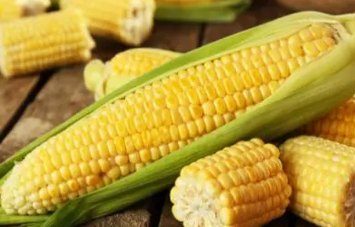 玉米雌雄同株为什么是单性花？