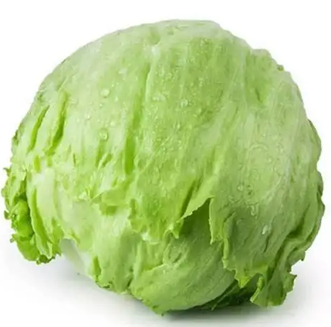 生菜哪个品种好吃不苦？