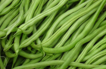 无筋豆高产种植技术有什么？