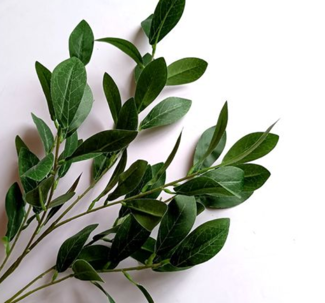 桉树叶煮水可以治疗荨麻疹吗？