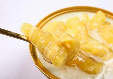 花胶是什么鱼的哪个部位？