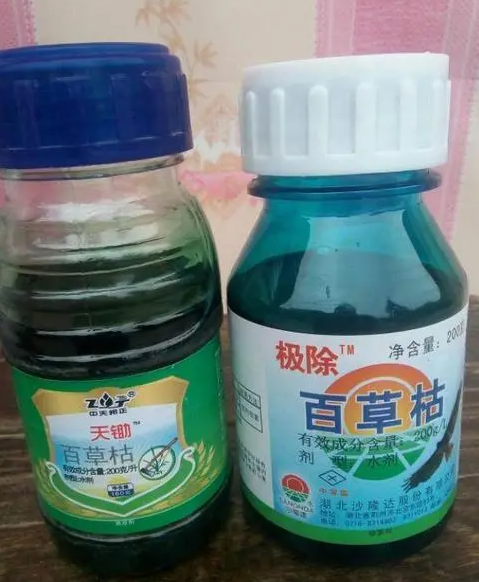 ddv和百草枯哪一个毒性更强？