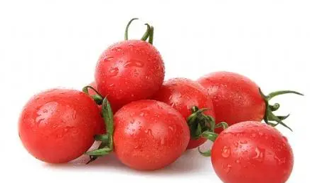 圣女果哪个季节种好？