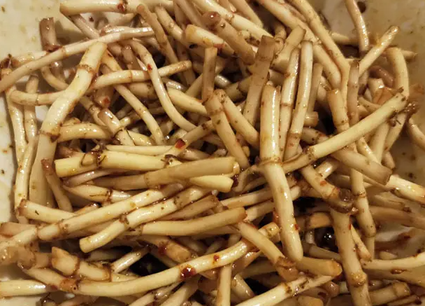 茅根和鱼腥草有什么区别？