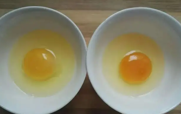 土鸡蛋和洋鸡蛋怎么区分？