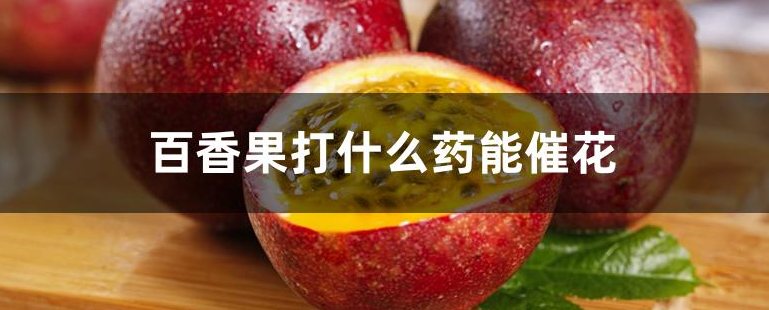 百香果打什么药能催花？
