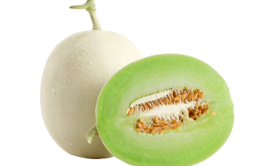 玉菇甜瓜几月份种植合适？