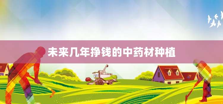 未来几年挣钱的中药材种植