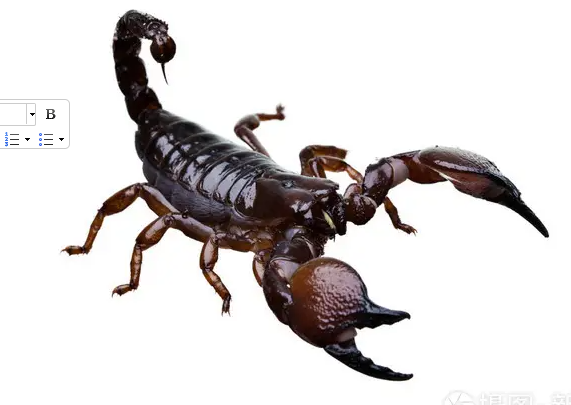 养殖蝎子风险大吗？