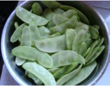 梅豆角种植时间和方法有什么？