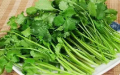 夏至后适合种什么蔬菜？