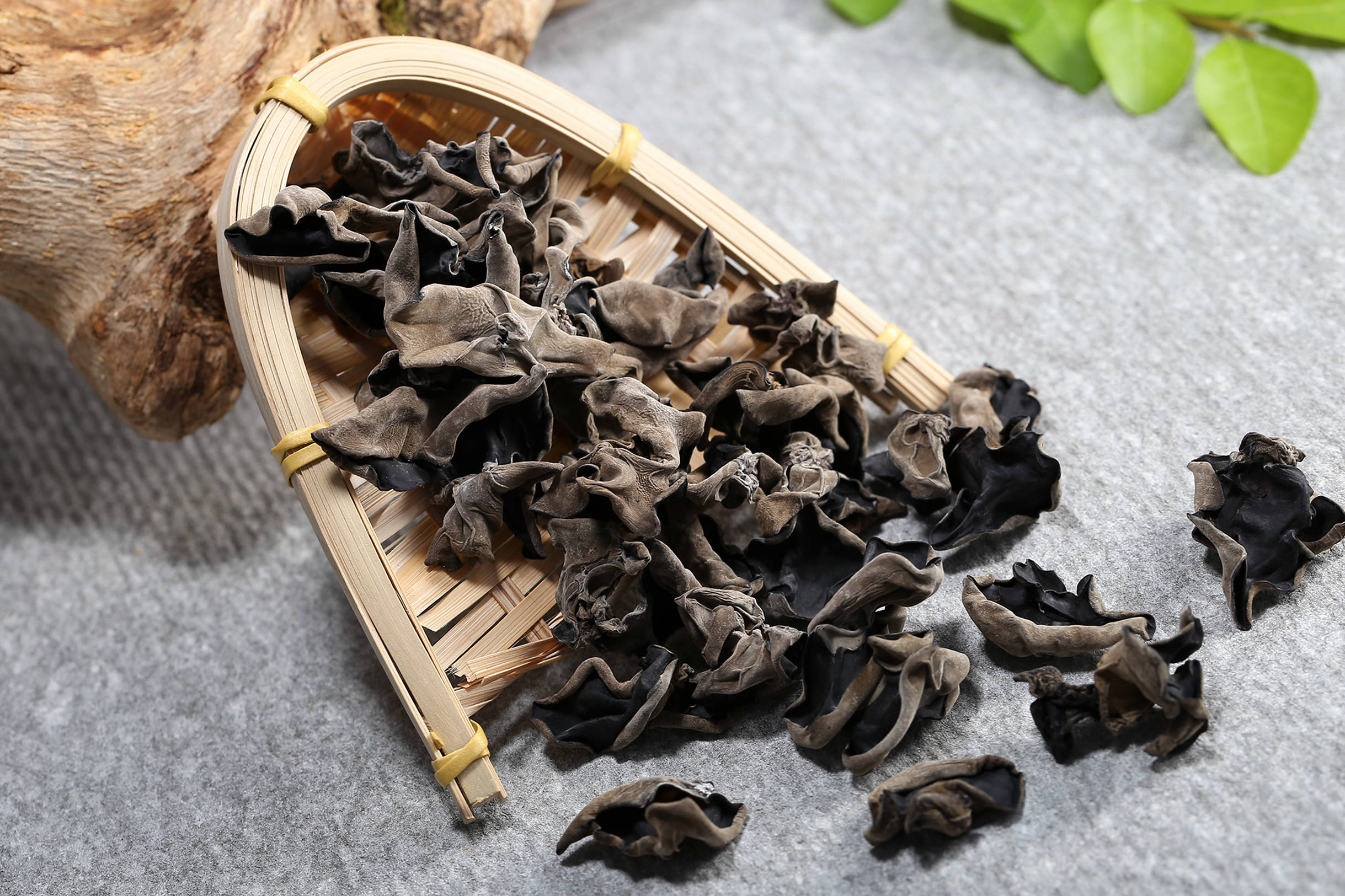 渝北区的特产有哪些？（黑木耳）