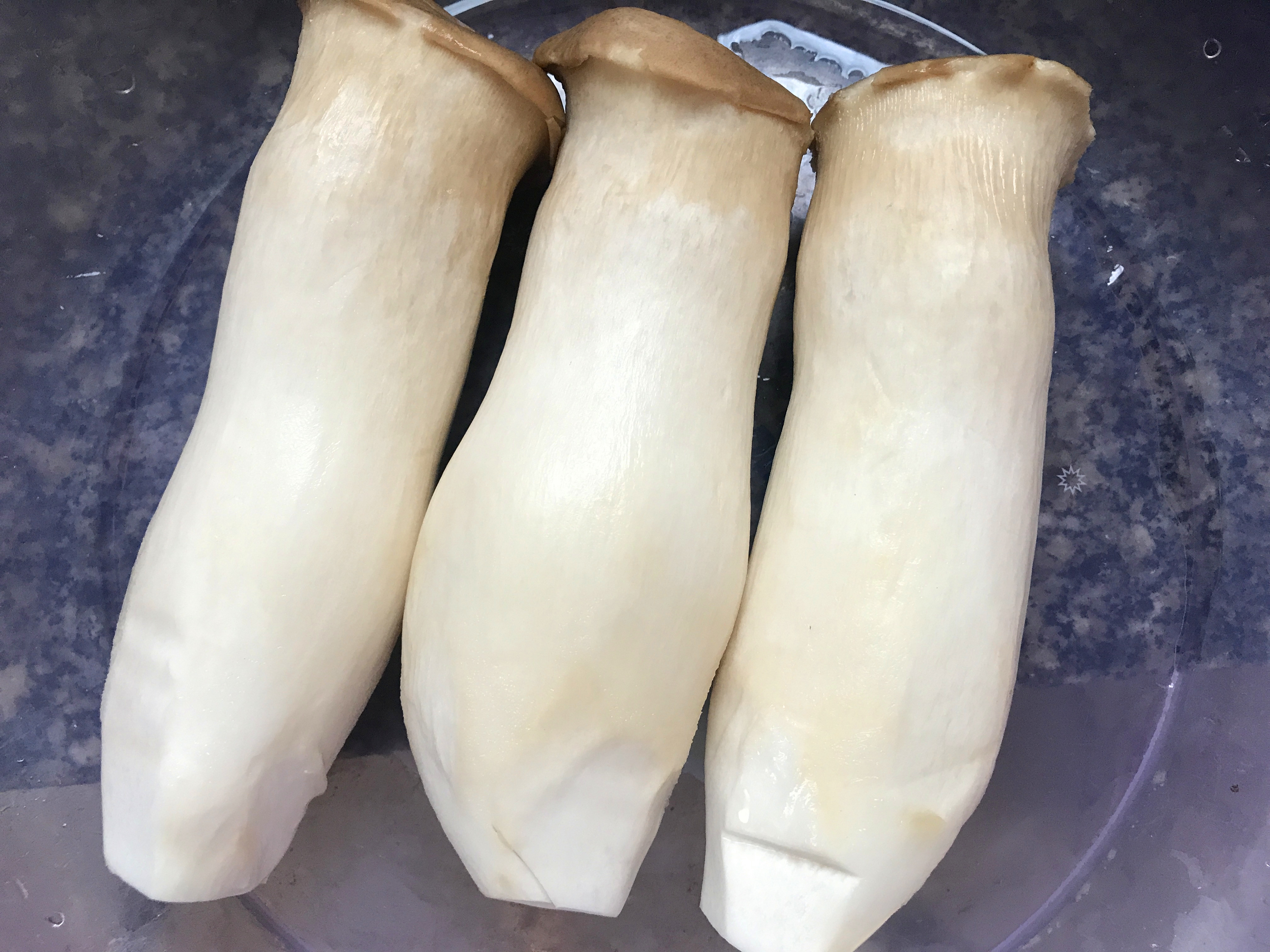 承德市的特产有哪些？（杏鲍菇）