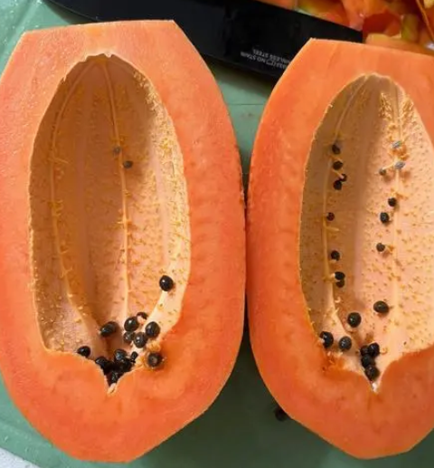 木瓜种子怎么种植