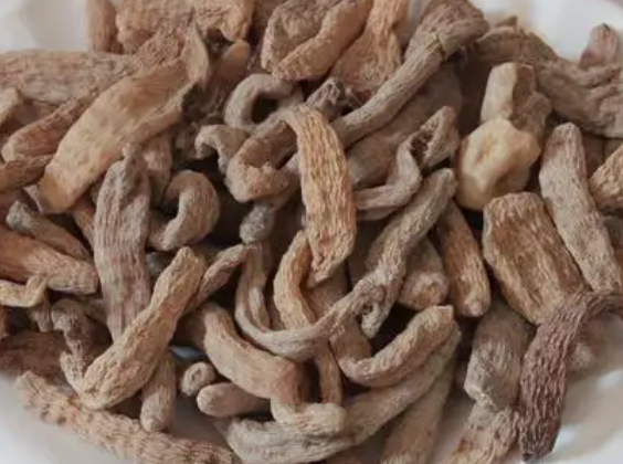 天麻种子怎么种植