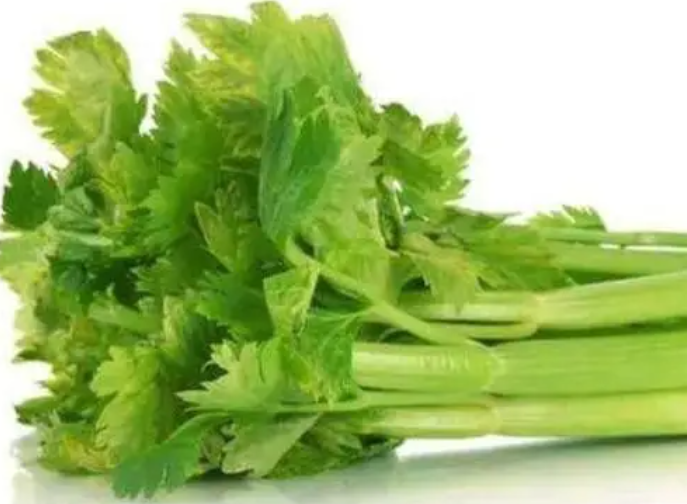 芹菜用什么肥料好