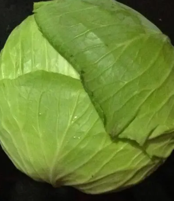 包菜什么季节种植合适