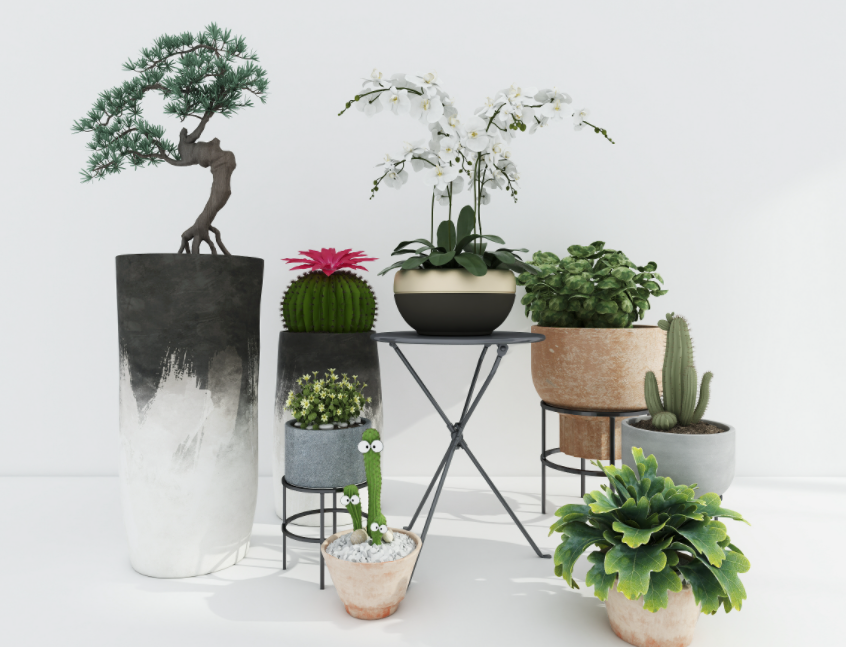 绿植用什么肥料最好