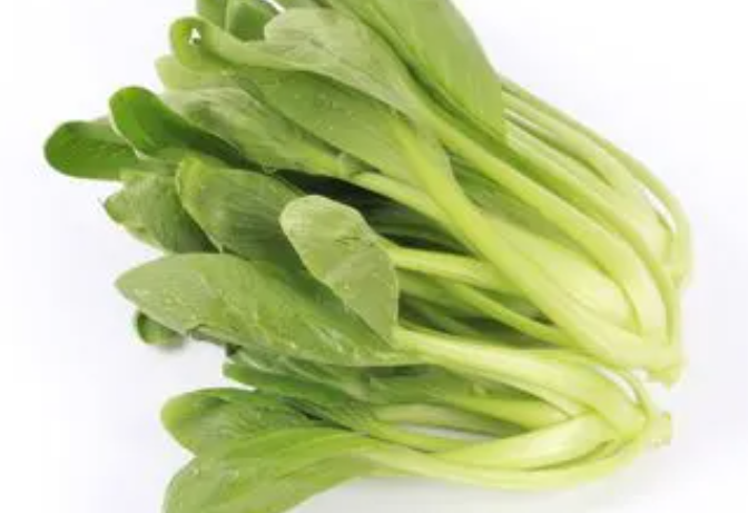 油菜几天出苗