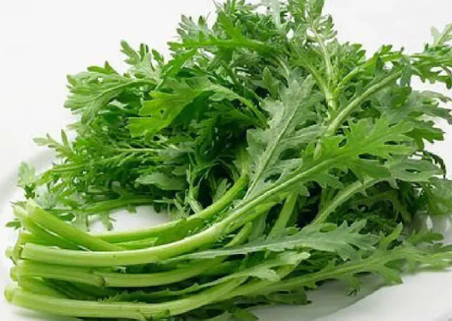 茼蒿几天出苗