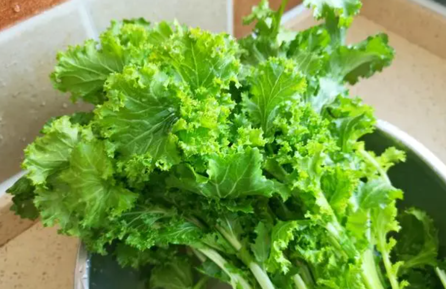 苔菜几天出苗 播种到发芽出苗时间