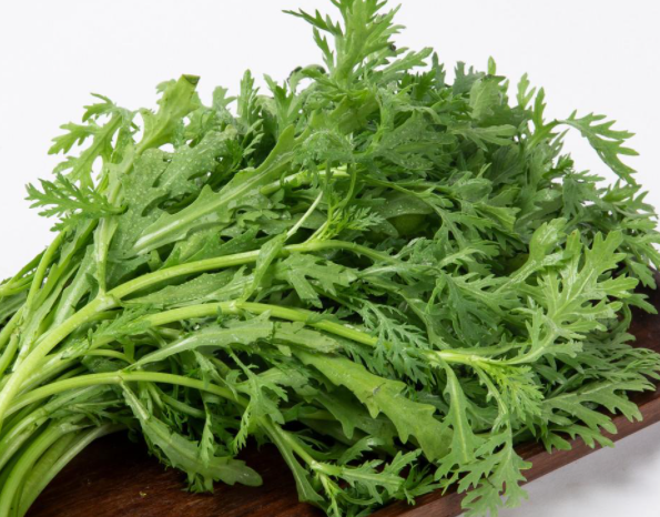 茼蒿菜什么时候播种最合适