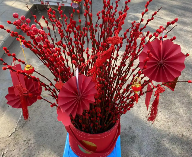 银柳花怎么水养