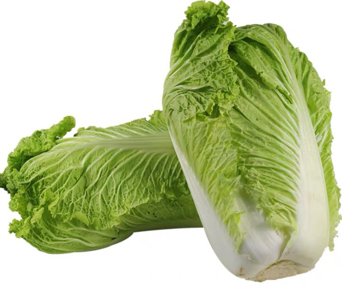 北京适合种什么菜