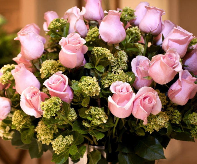 小花园适合种什么