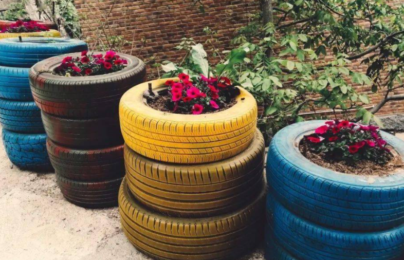 轮胎适合种什么花