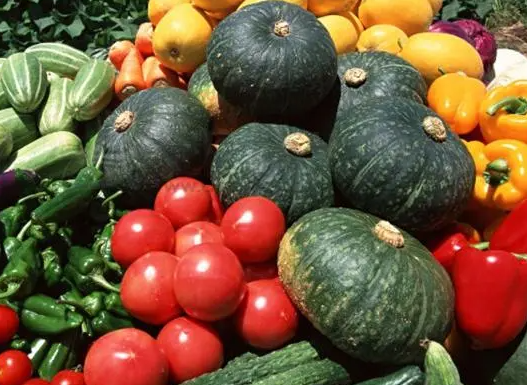 立夏了适合种什么菜