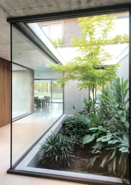 天井适合种什么