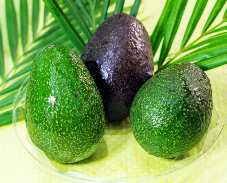 草木灰适合种什么