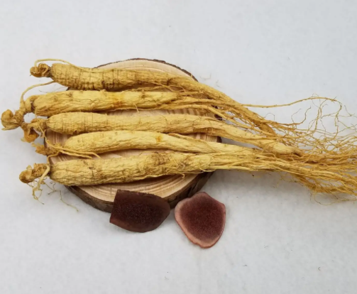 2017适合种什么药材