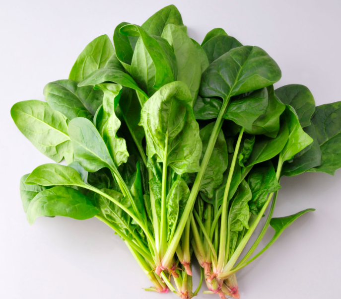 什么季节适合种什么树呢