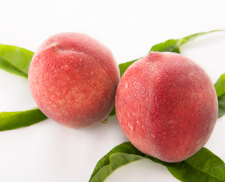 江苏适合种什么水果