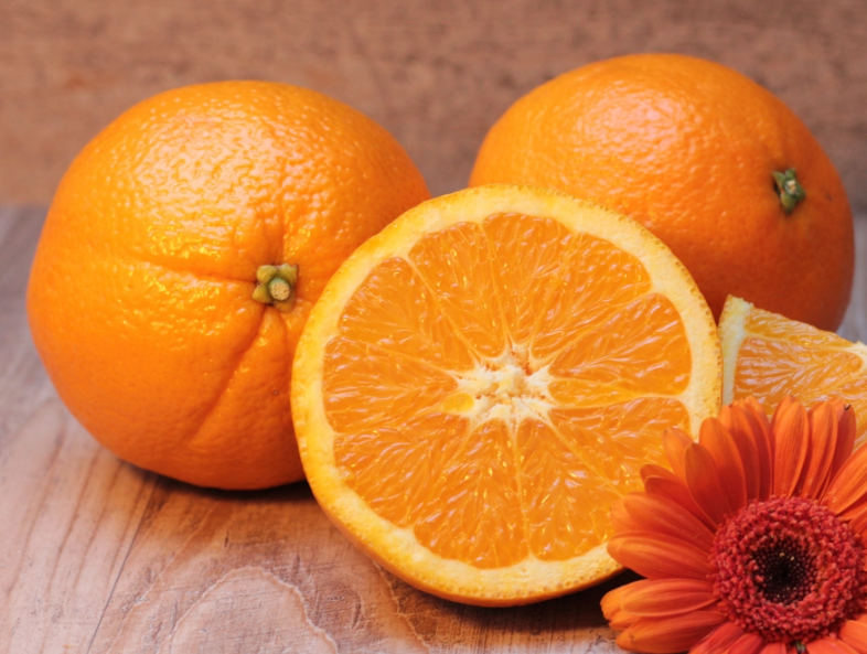 南方适合种什么水果呢