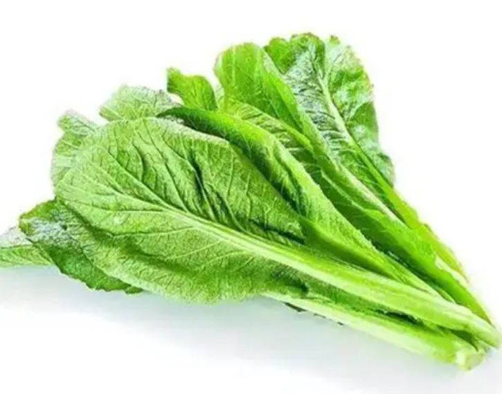 盆栽蔬菜适合种什么菜