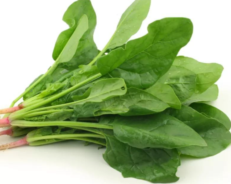 黏质土适合种什么