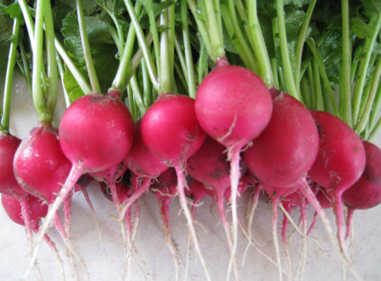 3 4月适合种什么菜