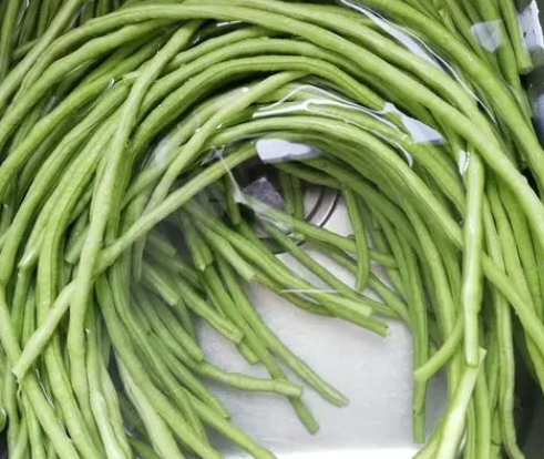 沙适合种什么农作物